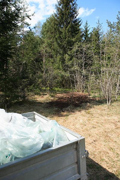 Kodila-Hagudi teeaarne puhas metsaalune.JPG